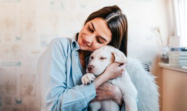 Prepare Holiday Boarding for Your Pet